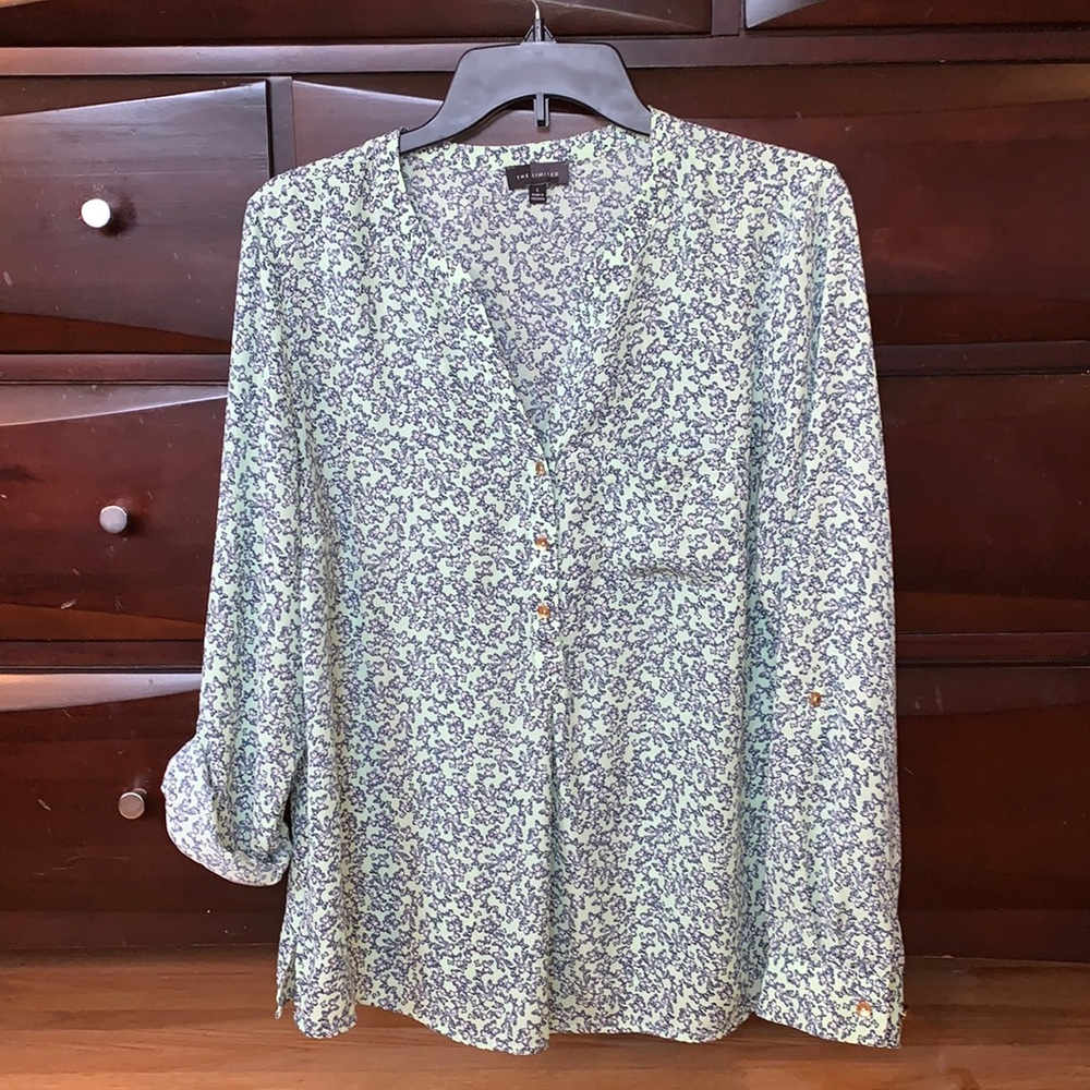 The Limited Blouse